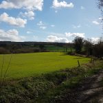 289f1ada-b96d-4eb5-9f6f-35f7a1e38847 copie